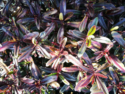 ?!label-Indicative photo