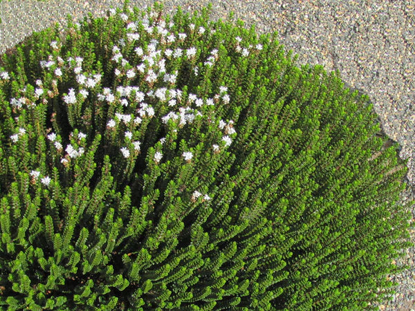 ?!label-Indicative photo