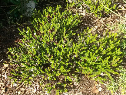 ?!label-Indicative photo