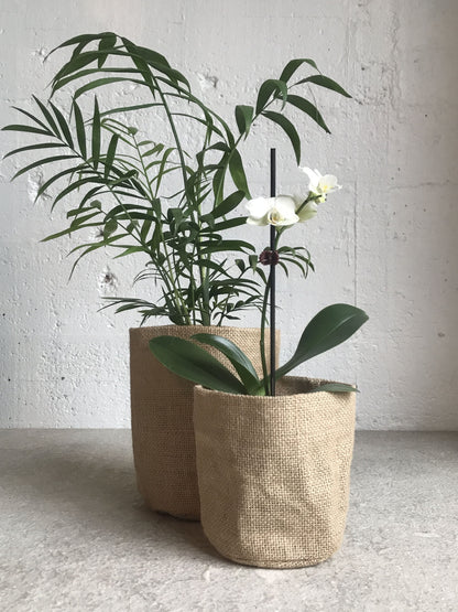 Hessian Plant Bag