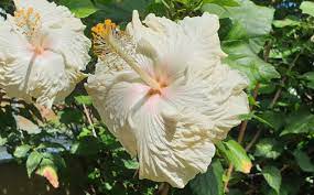 ?!label-Indicative photo