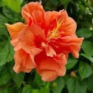 ?!label-Indicative photo