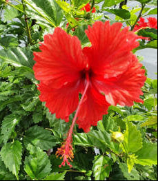 ?!label-Indicative photo