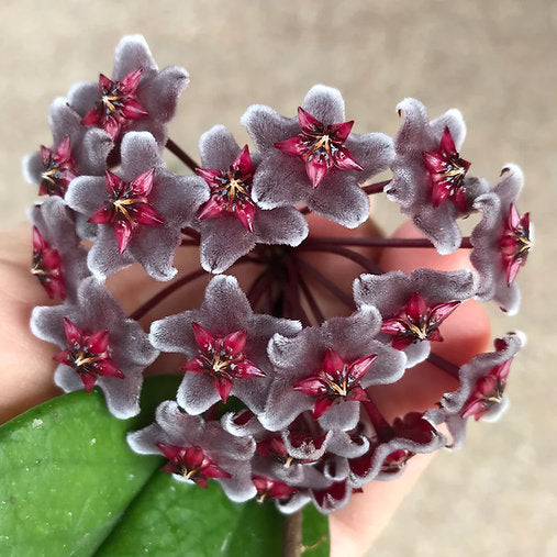 ?!label-Indicative photo