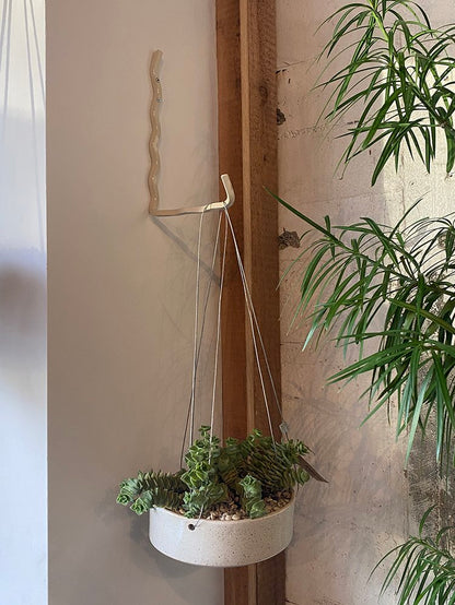 Wave Plant Hook