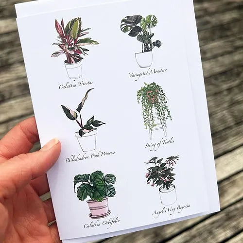 Indoor Plants Greeting Card