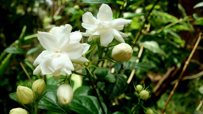 ?!label-Indicative photo