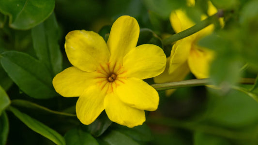 ?!label-Indicative photo