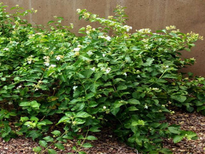 ?!label-Indicative photo