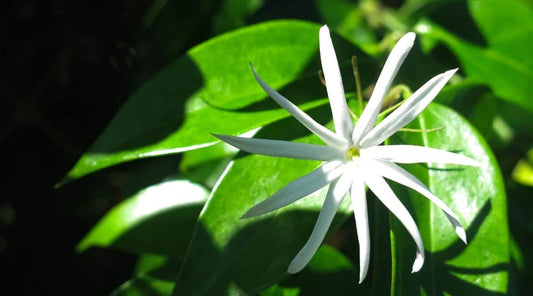 ?!label-Indicative photo