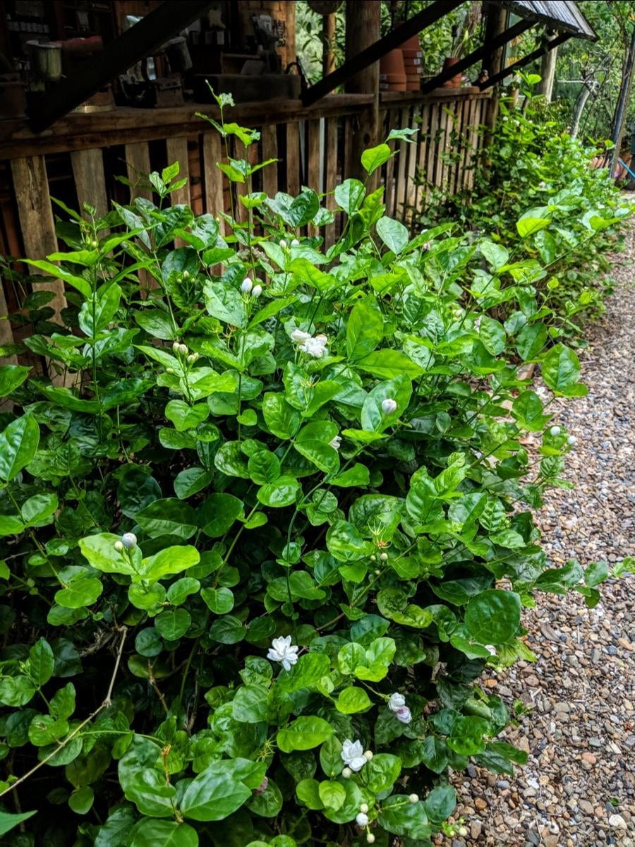 ?!label-Indicative photo