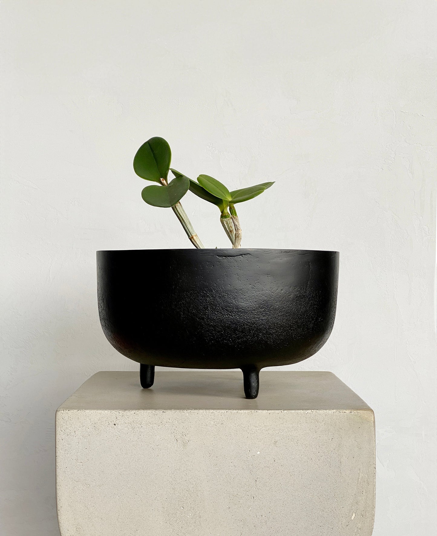 'Jela' Planter