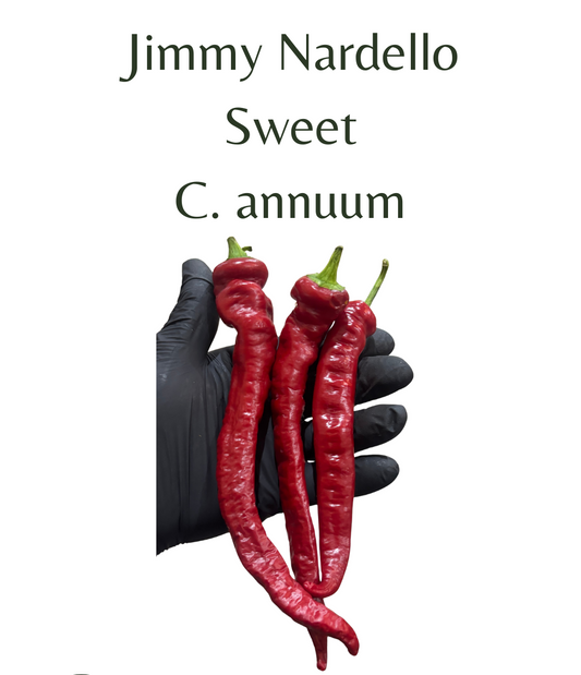 Jimmy_Nardello_Chilli_Seeds_10_seeds