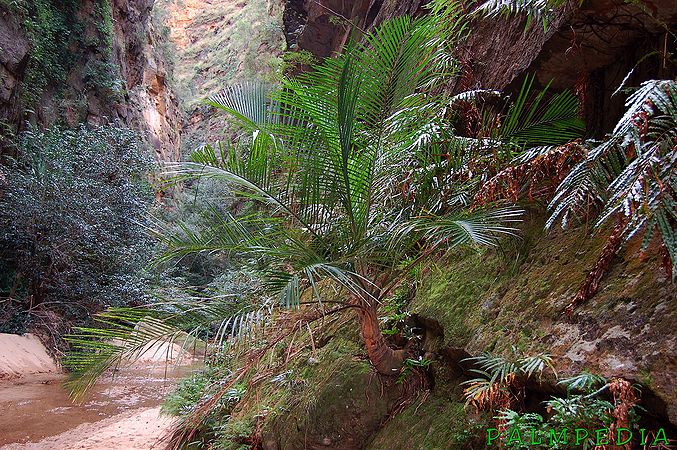 ?!label-Indicative photo