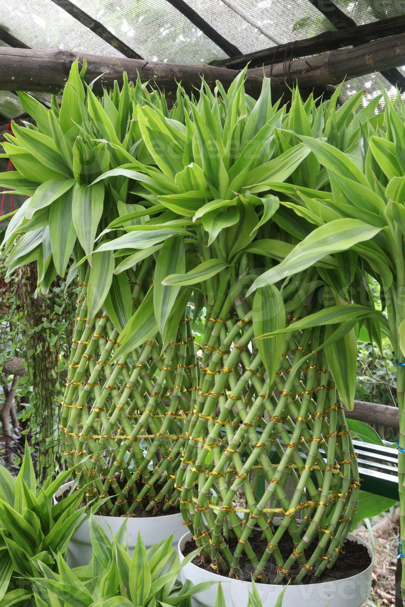 ?!label-Indicative photo