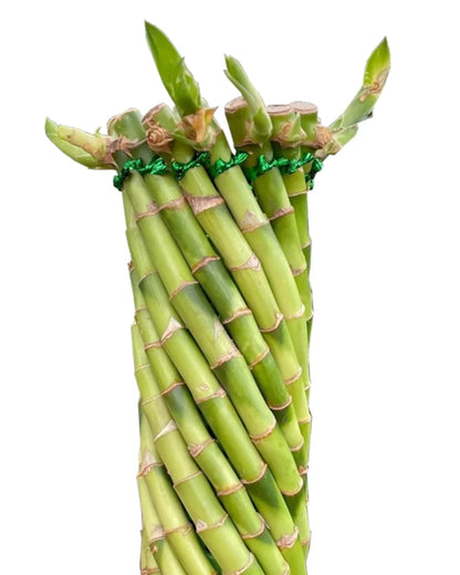 ?!label-Indicative photo