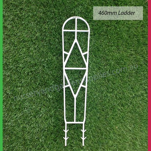 450mm Ladder / Plant Trainer White