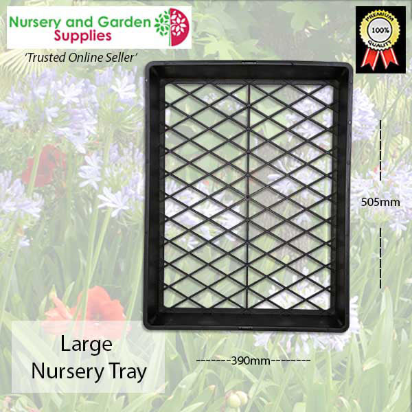 Large Nursery Tray
