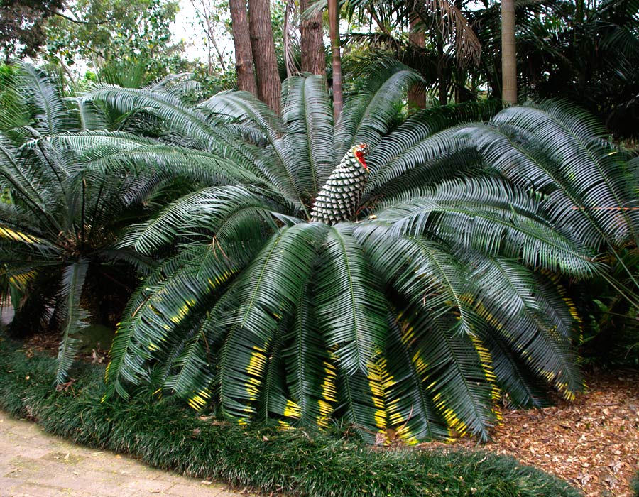 ?!label-Indicative photo