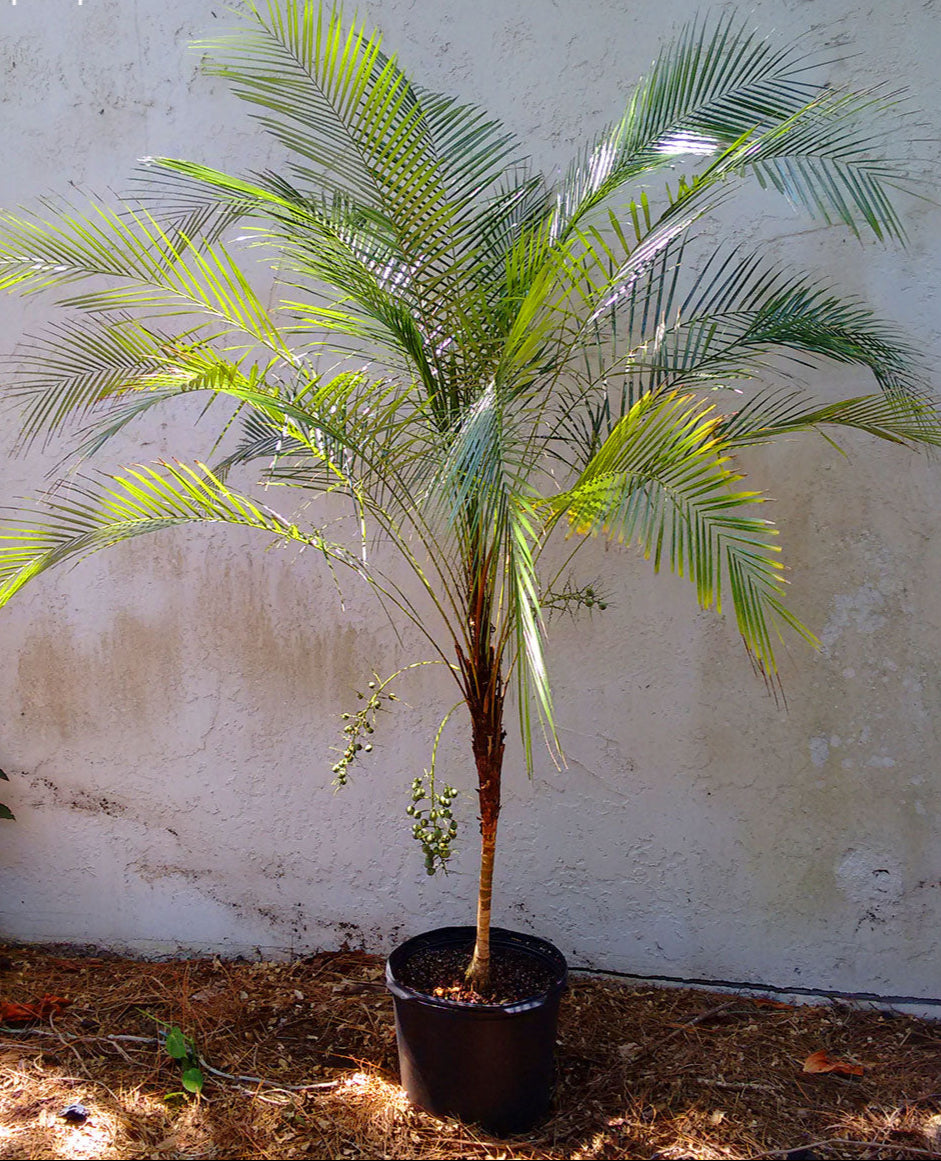 ?!label-Indicative photo