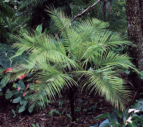 ?!label-Indicative photo