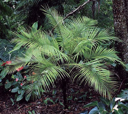 ?!label-Indicative photo