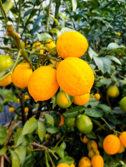 ?!label-Indicative photo