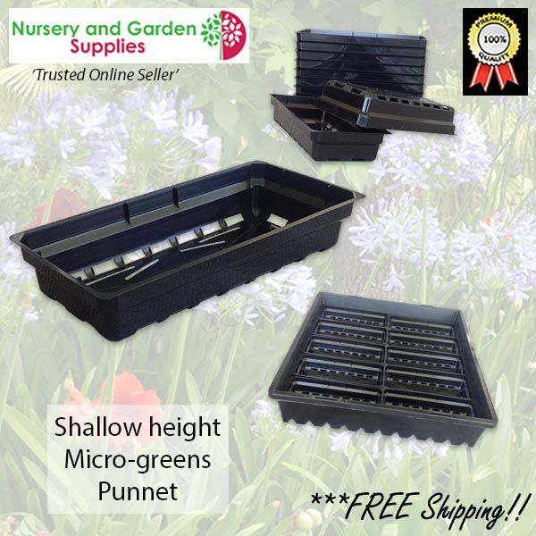 Microgreens Seedling Metric Grow Punnet