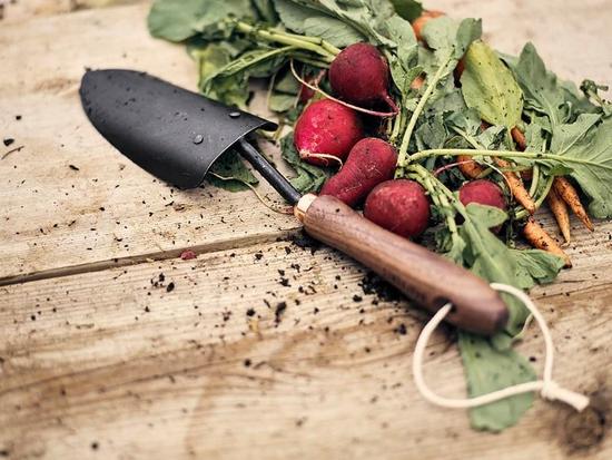 Garden Trowel