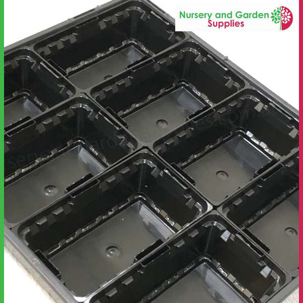 Open Standard Punnet Black
