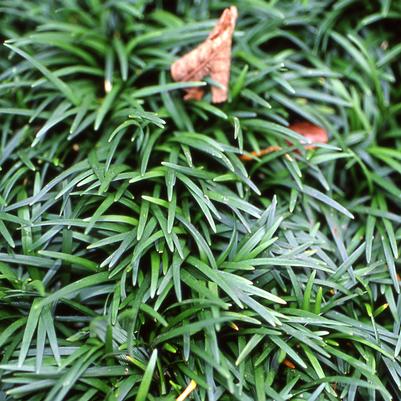 ?!label-Indicative photo