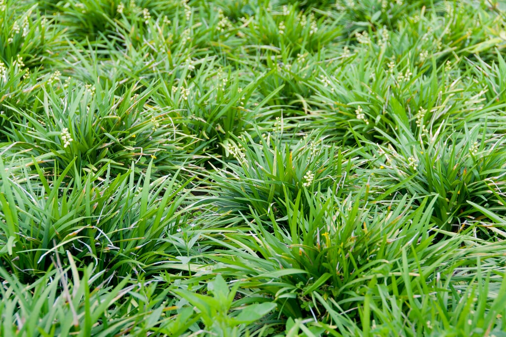 ?!label-Indicative photo