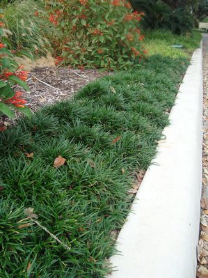 ?!label-Indicative photo