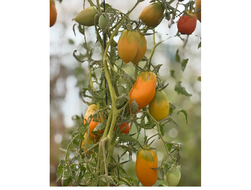 ?!label-Indicative photo