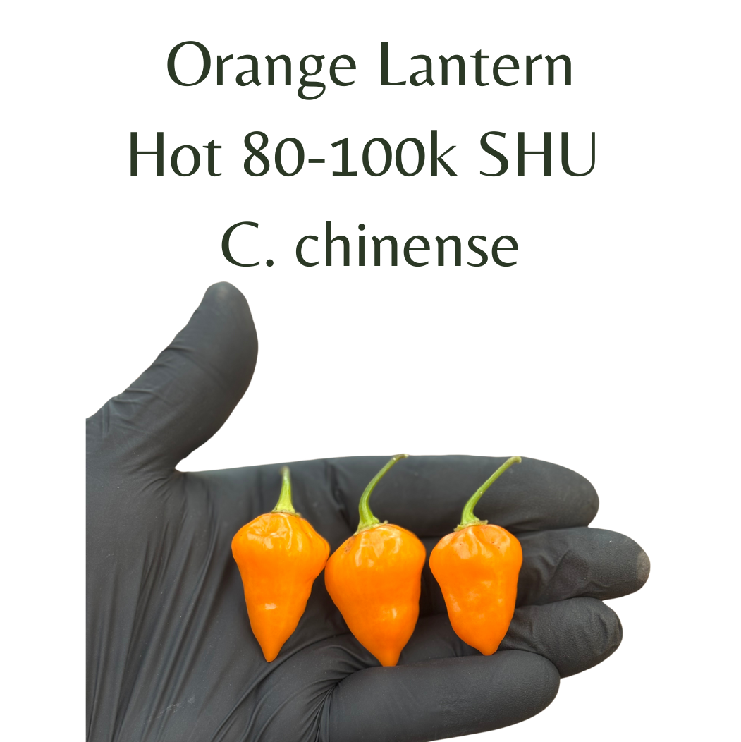 ?!label-Indicative photo