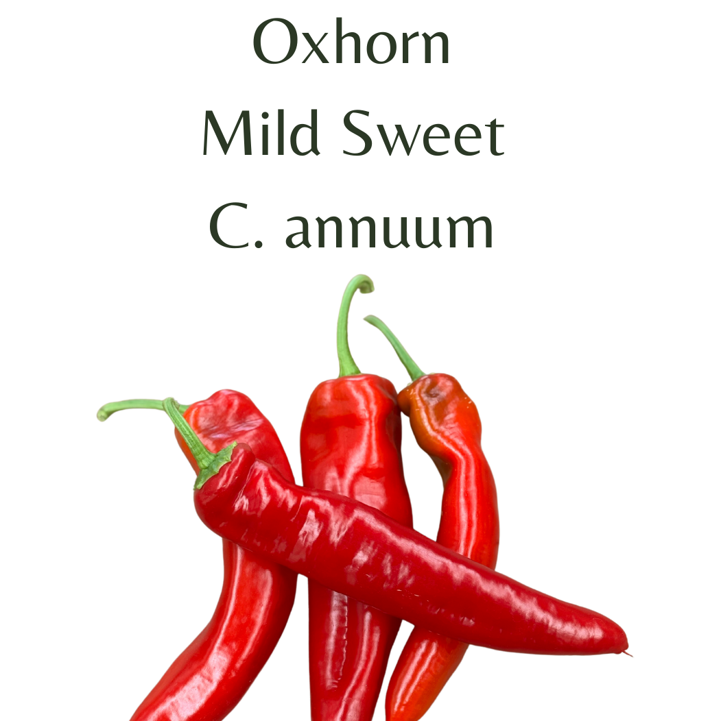 ?!label-Indicative photo