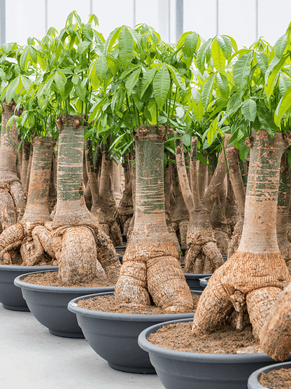 ?!label-Indicative photo