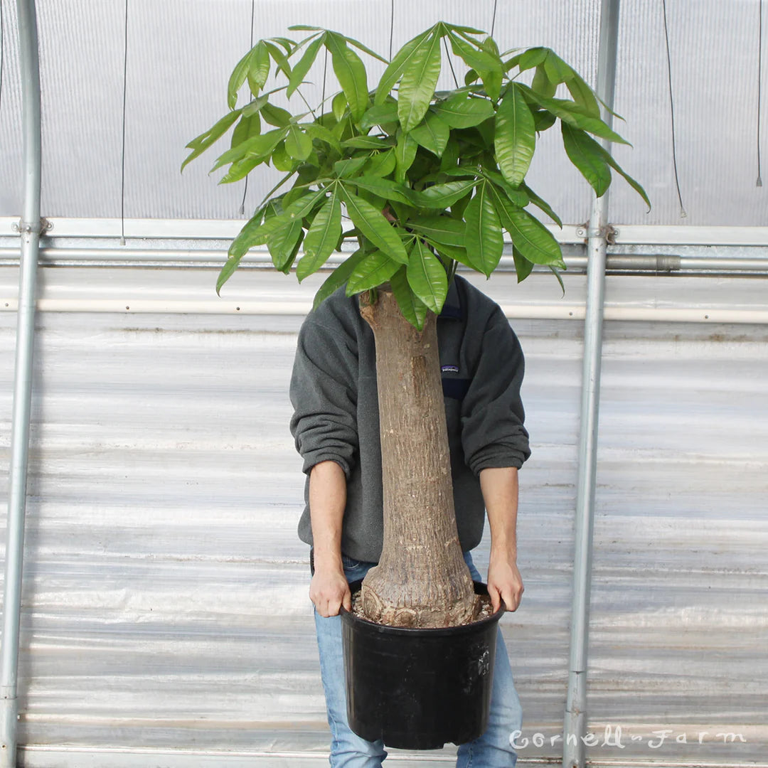 ?!label-Indicative photo