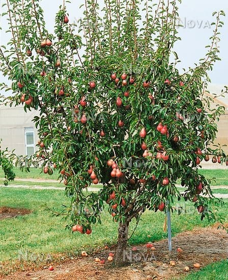 ?!label-Indicative photo