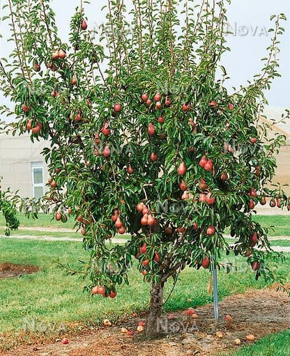 ?!label-Indicative photo