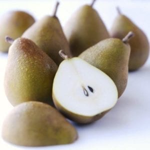 Pear 'Winter Cole' 45ltr: 3m-3.2m Tall