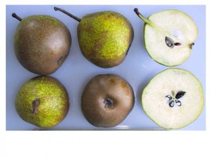 ?!label-Indicative photo