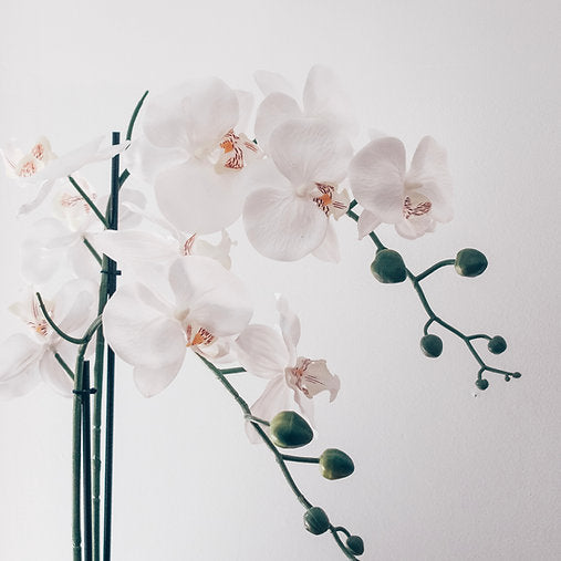 ?!label-Indicative photo