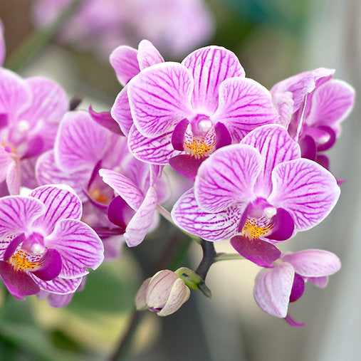 ?!label-Indicative photo