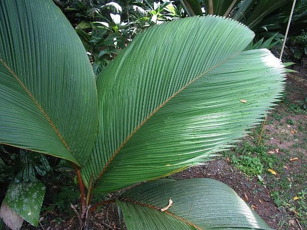 ?!label-Indicative photo