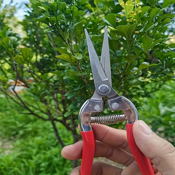 Stainless Steel Garden Snips – Bright, Handy, and Nursery-Tested