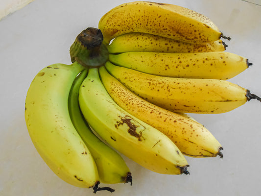 Example of fruit from a Double Mahoi banana plant