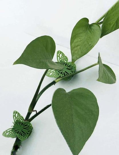 Plant Fixed clips, Butterfly (2-pc)