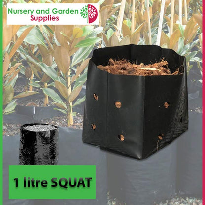 1 litre SQUAT Poly PB2 Planter Bags - Premium Grade