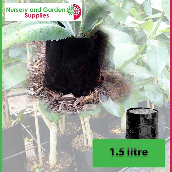 1.5 litre Poly PB2.5 Planter Bags - Premium Grade